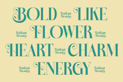 Dudga Baloval - Elegant Serif Font Product Image 8