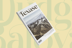 Dudga Baloval - Elegant Serif Font Product Image 10