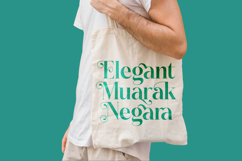 Dudga Baloval - Elegant Serif Font Product Image 11