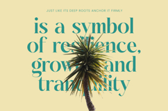 Dudga Baloval - Elegant Serif Font Product Image 12