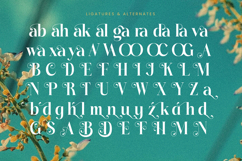 Dudga Baloval - Elegant Serif Font Product Image 18