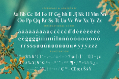 Dudga Baloval - Elegant Serif Font Product Image 19