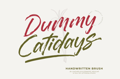 Dummy Catidays Handwritten Brush Font Product Image 1