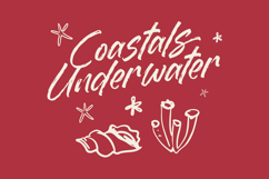 Dummy Catidays Handwritten Brush Font Product Image 2