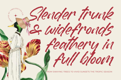 Dummy Catidays Handwritten Brush Font Product Image 7