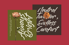 Dummy Catidays Handwritten Brush Font Product Image 10