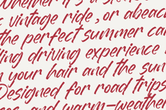 Dummy Catidays Handwritten Brush Font Product Image 15