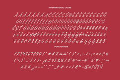 Dummy Catidays Handwritten Brush Font Product Image 18