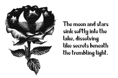 Dusk Queen - Vintage Noir Display Typeface Product Image 2