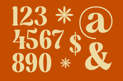 Dusty Brothe - Groovy Serif Display Product Image 10