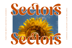 Dusty Brothe - Groovy Serif Display Product Image 12