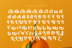 Dusty Brothe - Groovy Serif Display Product Image 18