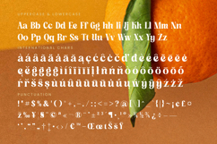 Dusty Brothe - Groovy Serif Display Product Image 19