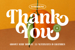 Dusty Brothe - Groovy Serif Display Product Image 20