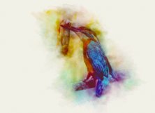 Dynamic Watercolor Paint Product Image 5