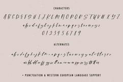 Dynamite Script Product Image 10