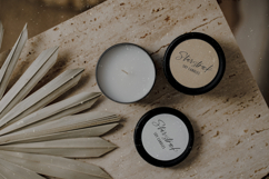 Dynamite Script Product Image 2