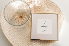 Dynamite Script Product Image 8