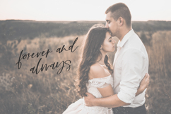 Dynamite Script Product Image 9