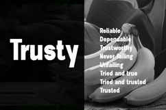 New Trusty Product Image 6
