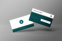 5 IN 1 BUSINESS CARD EDITABLE TEMPLATE Product Image 4