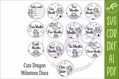 Cute Baby Dragon Milestone Discs, Monthly Baby Photo Props, Product Image 5