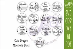 Cute Baby Dragon Milestone Discs, Monthly Baby Photo Props, Product Image 5