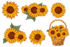 Sunflower SVG Clipart, Sunflower EPS, PNG, Sunflower bundle Product Image 2