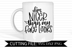 I'm Nicer Than My Face Looks - Hand Lettered SVG Product Image 1