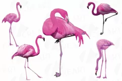 Watercolor Flamingos Clipart. Tropical clipart, 5 flamingo Product Image 1