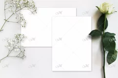 White Rose Mockup. PSD & JPG. Product Image 1
