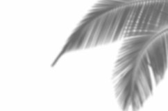 Leaves Shadow Overlay Effect Mockup Product Image 2