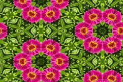 12 abstract Seamless colorful FLOWER patterns pack. Product Image 7