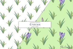 Crocus. Watercolor seamless pattern Product Image 4