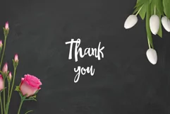 The Dreamer Font Product Image 8