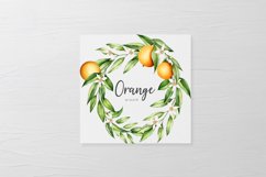 WATERCOLOR ORANGE FRUITS ELEMENTS Product Image 5