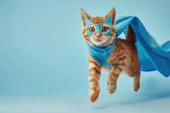 Super Cat with Blue Background Wallpaper Product Image 1