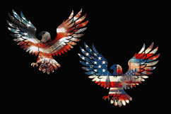 USA. Eagle. 4th of July. Sublimation design PNG Product Image 2