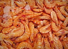 200 FISH SEA FOOD PHOTOSHOP OVERLAYS, BACKDROPS, BACKGROUNDS Product Image 12