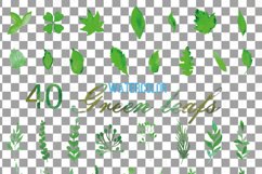 Green leaves and branches watercolor clip art pack, hand painted leafs collection. PNG, jpg, svg, vector illustrator &amp; corel files included Product Image 12