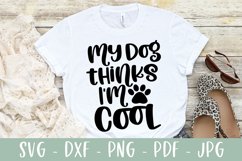 My Dog Thinks I'm Cool - Funny Dog SVG Product Image 3