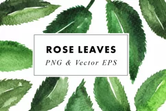 Watercolor Rose Leaves Illustration ClipArt PNG & EPS Vector Product Image 1