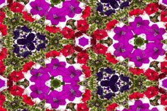 12 abstract Seamless colorful FLOWER patterns pack. Product Image 11