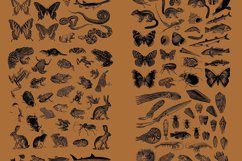 Vintage Animals Vectors Product Image 3