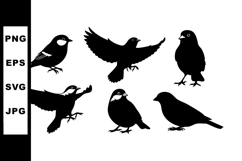 Silhouettes of Various Birds in Different Poses Vector Illus Product Image 1