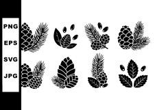 Pine cones and pine needles vector illustration black silhou Product Image 1