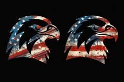 USA. Eagle. 4th of July. Sublimation design PNG Product Image 2