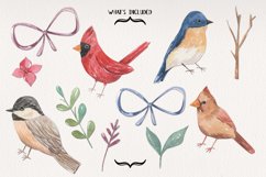 Christmas Birds Festive Fun Leaves Watercolor Set Painted Product Image 2