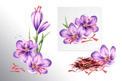 Saffron Product Image 2