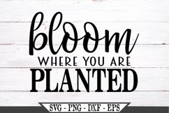 Bloom Where You Are Planted SVG Product Image 2